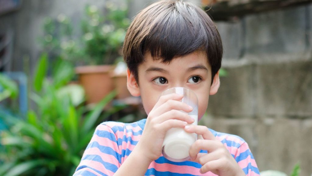 manfaat susu sigoat untuk anak